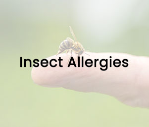 Insect Allergies at Allergy and Asthma Care of Rockland Insect Allergies at Allergy and Asthma Care of Rockland